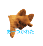 まるさんかくしーかく。（個別スタンプ：3）