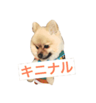 まるさんかくしーかく。（個別スタンプ：5）