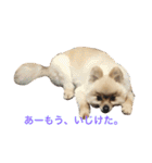 まるさんかくしーかく。（個別スタンプ：13）