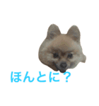 まるさんかくしーかく。（個別スタンプ：14）