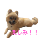 まるさんかくしーかく。（個別スタンプ：16）