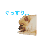 まるさんかくしーかく。（個別スタンプ：20）