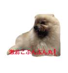 まるさんかくしーかく。（個別スタンプ：23）