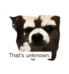 That's unknown.（個別スタンプ：1）