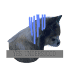 That's unknown.（個別スタンプ：4）