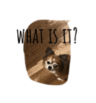 That's unknown.（個別スタンプ：6）