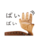 革の顔（目玉焼き子 他）（個別スタンプ：20）