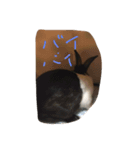 ウサギのぴょんすけの日常（個別スタンプ：4）