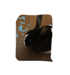 ウサギのぴょんすけの日常（個別スタンプ：7）