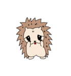 Hedgehog Chestnut（個別スタンプ：16）