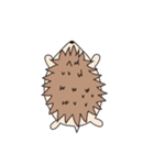 Hedgehog Chestnut（個別スタンプ：23）