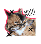 猫ネコネコ（個別スタンプ：4）
