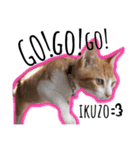 猫ネコネコ（個別スタンプ：8）