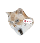 イブ4（個別スタンプ：1）