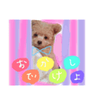 はっぴぃとアロ（個別スタンプ：1）