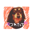 はっぴぃとアロ（個別スタンプ：6）