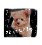 はっぴぃとアロ（個別スタンプ：8）