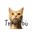 mycat's（個別スタンプ：2）