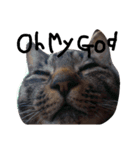mycat's（個別スタンプ：6）