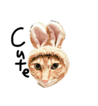 mycat's（個別スタンプ：10）