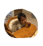 aoppe115（個別スタンプ：6）