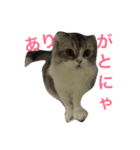 毎日可愛い♡（個別スタンプ：3）