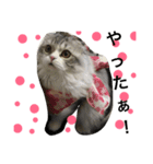 毎日可愛い♡（個別スタンプ：4）