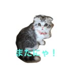 毎日可愛い♡（個別スタンプ：7）