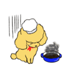 プードルカフェ 英語・日本語スタンプ（個別スタンプ：6）