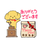 プードルカフェ 英語・日本語スタンプ（個別スタンプ：13）