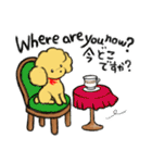 プードルカフェ 英語・日本語スタンプ（個別スタンプ：34）