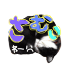 猫❤️（個別スタンプ：7）