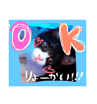 猫❤️（個別スタンプ：8）