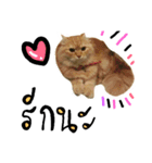 my Orange cat（個別スタンプ：7）