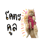 my Orange cat（個別スタンプ：8）