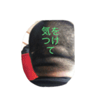 岡崎友希さんを使ったスタンプ（個別スタンプ：18）