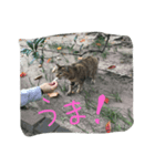 コタローさん（個別スタンプ：7）