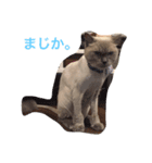 jill.ron.mah（個別スタンプ：6）