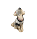 猫と犬2（個別スタンプ：7）
