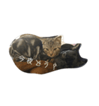猫と犬2（個別スタンプ：15）