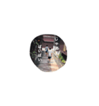 Ito.brothers（個別スタンプ：5）