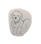 てぃーたさ2（個別スタンプ：5）