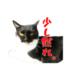 コジローですが何か？その2（個別スタンプ：32）