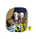 犬猫 スタンプ（個別スタンプ：16）