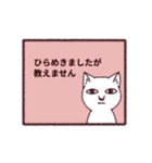 謎猫（個別スタンプ：1）