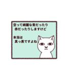 謎猫（個別スタンプ：5）
