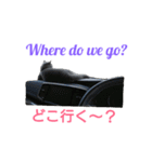 ムウ☆その1（個別スタンプ：3）