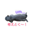 ムウ☆その1（個別スタンプ：5）