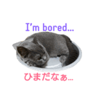 ムウ☆その1（個別スタンプ：7）