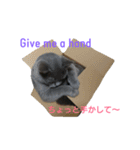 ムウ☆その1（個別スタンプ：13）